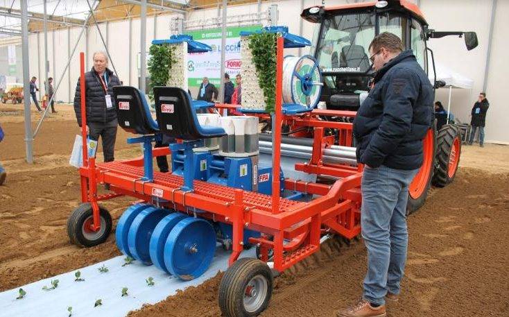 Ferrari trasplantadora|Texto-Completo-THM-200x50